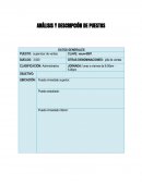 ANÁLISIS Y DESCRIPCIÓN DE PUESTOS DE VENTAS