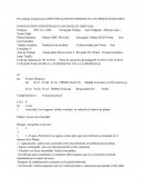 LAS INNOVACIONES INDUSTRIALES LOS ÀNGELES LIMITADA..