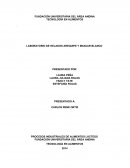 LABORATORIO DE HELADOS AREQUIPE Y MANJAR BLANCO