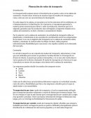 Planeación de redes de transporte.