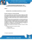 Actividad programa de formación iso 9001: 2008: fundamentación de un sistema de gestión de la calidad