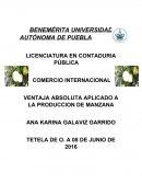 VENTAJA ABSOLUTA APLICADO A LA PRODUCCION DE MANZANA
