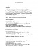 CASO LOGISTICO KERICO S.A.