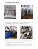 LABORATORIO DE PROCESOS DE ALIMENTARIO.