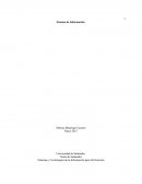 Sistemas y Tecnologías de la Información para la Dirección.