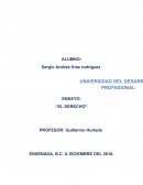 ENSAYO: “EL DERECHO”.