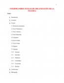 INFORME SOBRE NIVELES DE ORGANIZACIÓN DE LA MATERIA