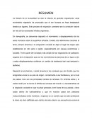 La historia de la humanidad ha sido la historia de grandes migraciones