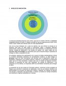 Niveles de Innovación.