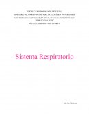 Sistema Respiratorio de Guyton & Hall