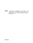 ANALIZAR EL DESEMPEÑO DE UN MEDIO DE TRANSPORTE EN EL PAÍS DONDE RESIDE.