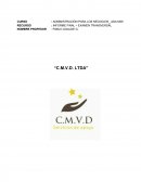 Informe de mercado consultoras.