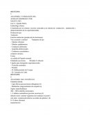 Aparato reproductor masculino.