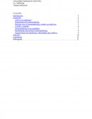 Monografia del Neuromarketing.