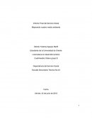 Informe Final del Servicio Social