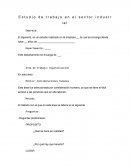 Estudio de trabajo en el sector industrial.