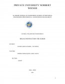 ENGLISH FOR ENGINEERING