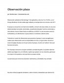 Observación plaza.