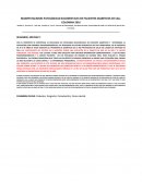 Resumen manifestaciones.