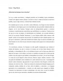 Ensayo – Diego Rincón.