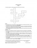 Completa el siguiente crucigrama con los términos básicos de la informática.