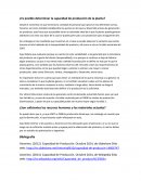 ¿Es posible determinar la capacidad de producción de la planta?