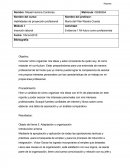 Las Habilidades de proyección profesional.