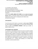 DIRECCIÓN GENERAL DE SEGURIDAD PÚBLICA Y CIENCIAS FORENSES DEPARTAMENTO DE FOTOGRAFIA FORENSE.
