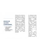 Tema- Juicio de accion confesoria.