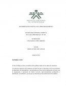 DETERMINACIÓN POLÍTICAS DE APROVISIONAMIENTO.