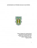 Tema: Etapas procesales Juicio Oral.