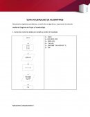 GUIA DE EJERCICIOS DE ALGORITMOS.