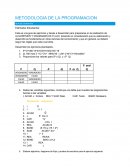 Guia de ejercicios de programación