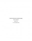 Comercio Internacional y balanza de pagos.