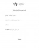 Auditoria de Tiempo personal.