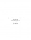 Propuesta de mejora del modelo organizacional de la empresa.