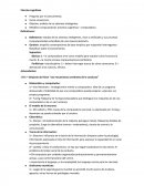 CIENCIAS COGNITIVAS.