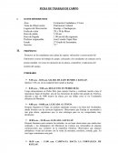 FICHA DE TRABAJO DE CAMPO
