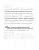 Tarea 2 – El vendedor de humo