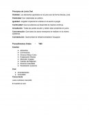 Principios de Juicio Oral.