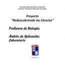 Proyecto “Redescubriendo las Ciencias”