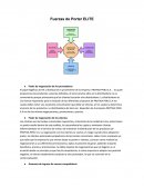 Fuerzas de Porter ELITE.