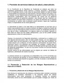 Provisión de servicios básicos de salud y desnutrición.