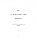 CONTAMINACION AMBIENTAL POR EL PETROLEO