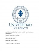 TRABAJO: PROYECTO GAS POWER