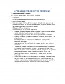 APARTO CIRCULATORIO.