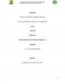 PROCEDIMIENO DE AMPARO INDIRECTO