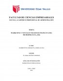 MARKETING Y VENTAS EN NEGOCIOS ONLINE EN LIMA METROPOLITANA, 2016