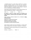 Tema: Honares a la bandera.