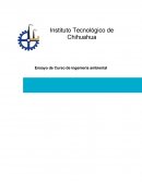 Percepción y aprendizaje del consumidor.